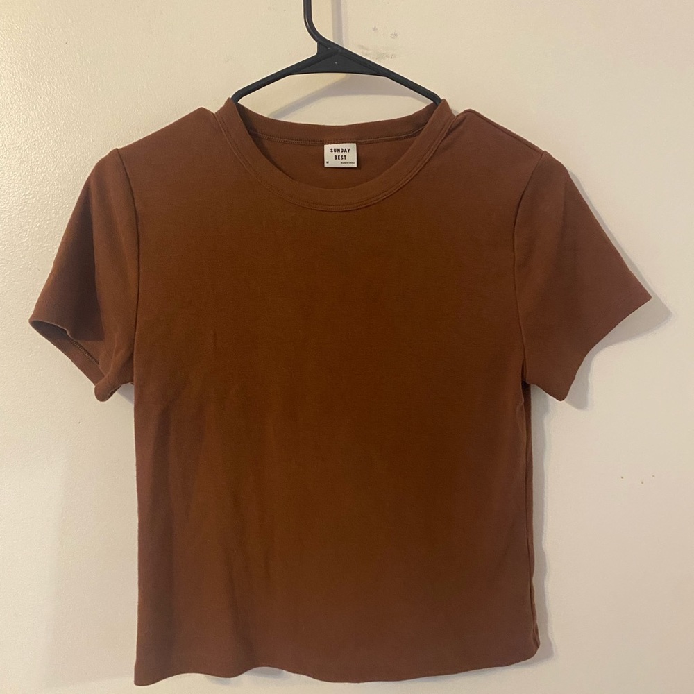 Aritzia Brown Baby Tee